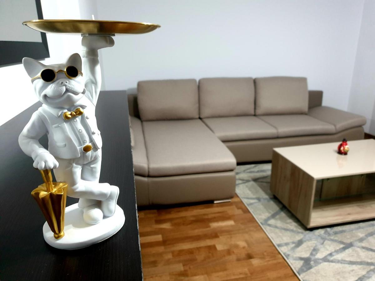 בראשוב Moonrise Apartment מראה חיצוני תמונה